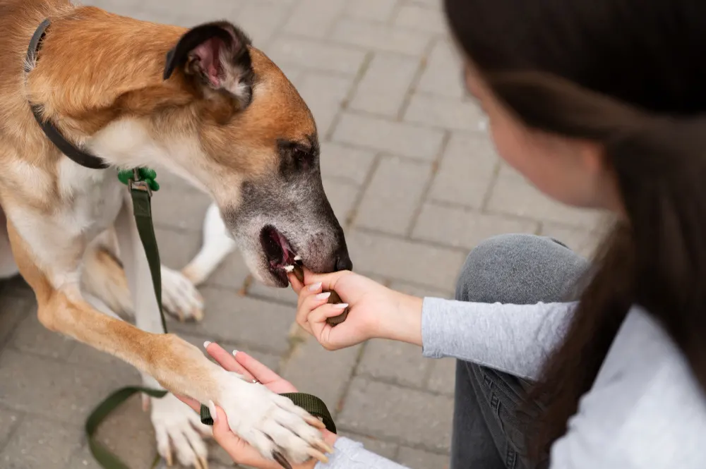 One-Bite Rule